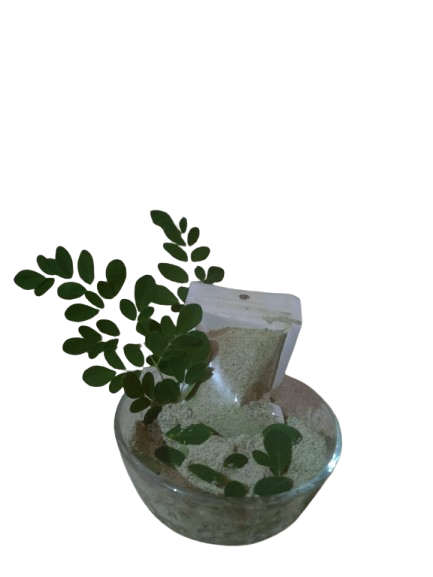 Masker Daun Kelor Moréa